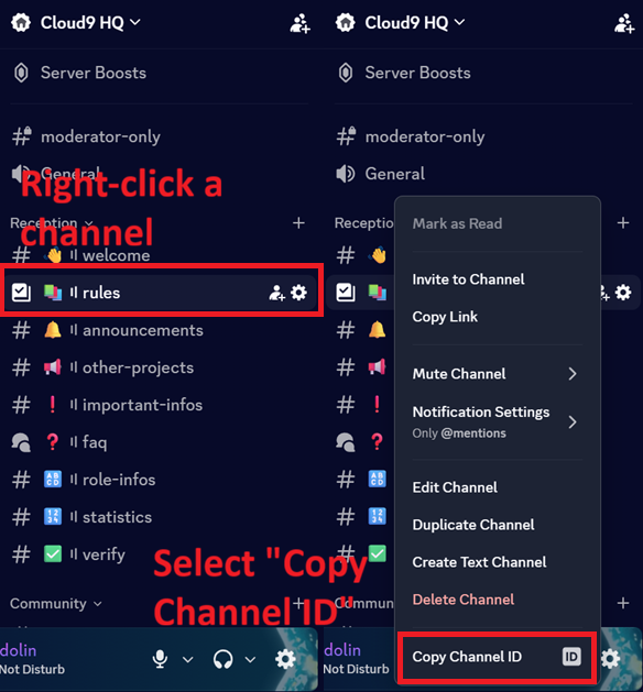 Screenshot showing the context menu on a channel with Copy Channel ID highlighted